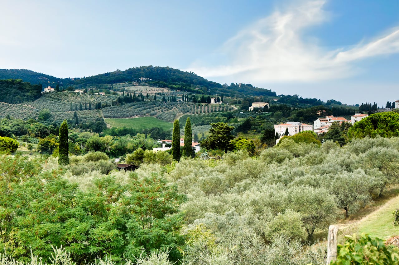 Beautiful landscape of Tuscany with rolling hills, olive groves, and cypress trees.