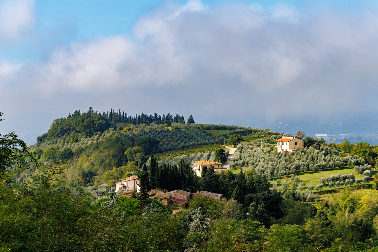 Picturesque view of Tuscany hilltop vineyards with olive trees and traditional houses under a cloudy sky.