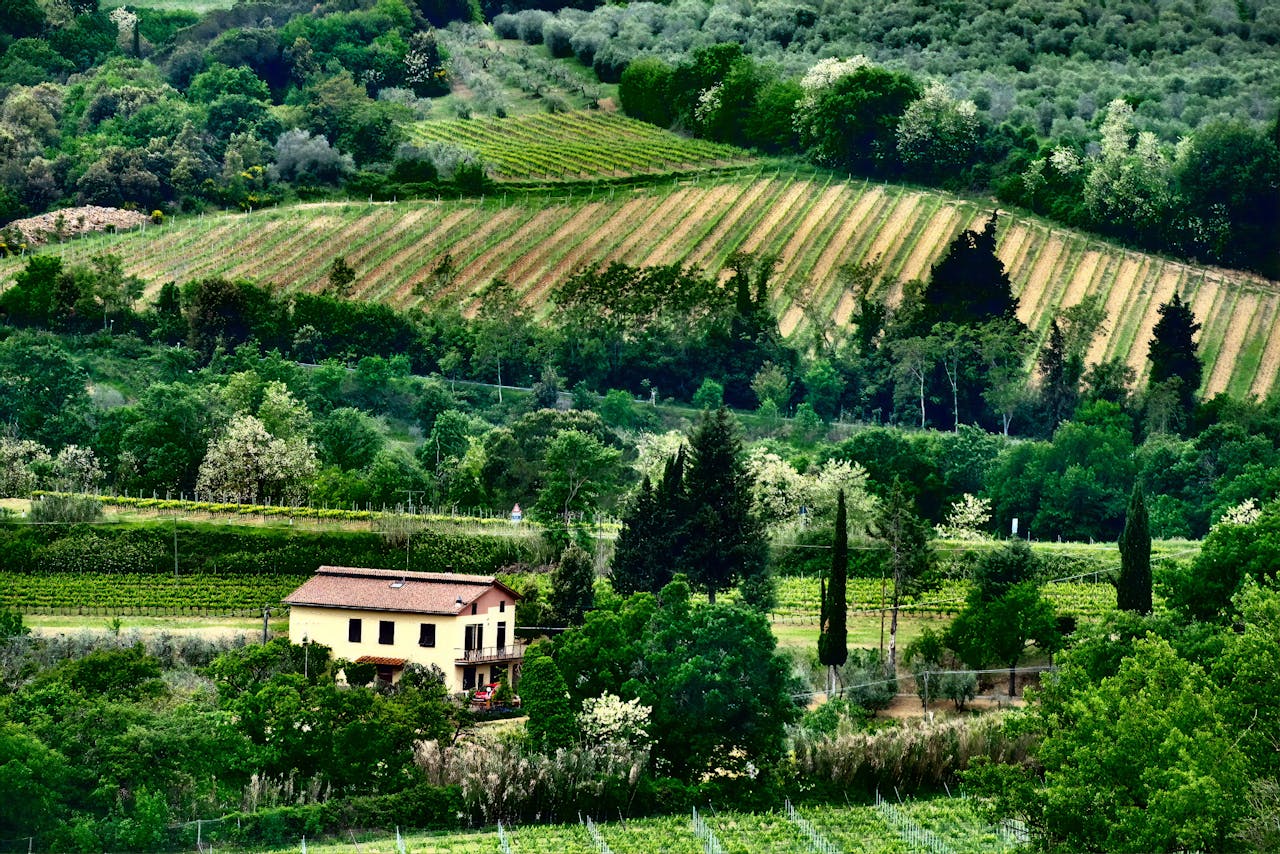 Idyllic rural landscape in Italy with vineyards and a rustic house, showcasing natural beauty.